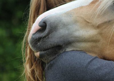 Kind umarmt Pferd, tiergestützte therapie, tiergestützte therapie für Autismus, therapie mit Tieren, tiergestütze Therapie für Heilpädagogik