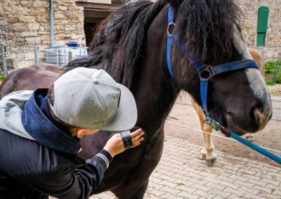 Kind bürstet schwarzes Pferd, tiergestützte therapie, tiergestützte therapie für Autismus, therapie mit Tieren, tiergestütze Therapie für Heilpädagogik